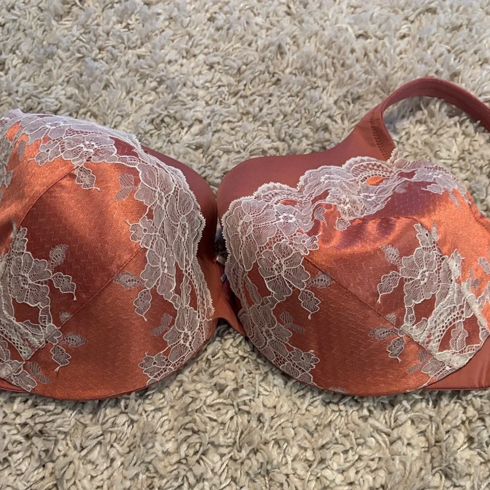 Cacique Rust and White Lace Bra